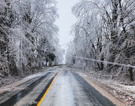 Early detection of grid anomalies, like this sagging power line,
improves the safety and efficiency of the grid.